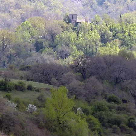 Torre Di *